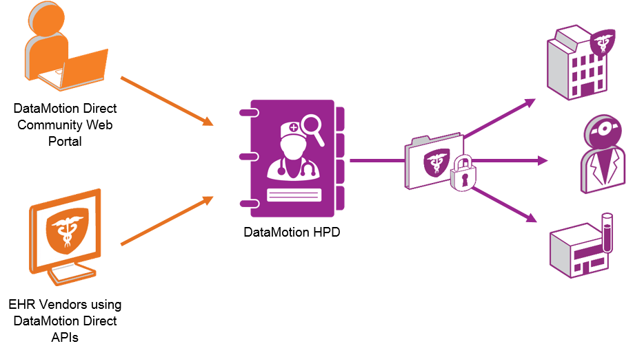 Infographic of Data Motion HPD