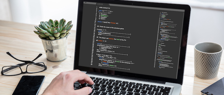 Developer programming on a laptop at a desk